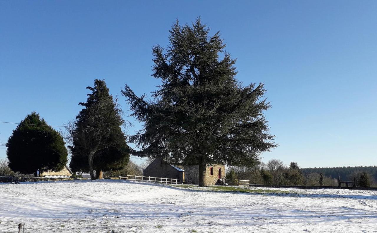 le gite du jardinier Saint-Martin-l'Aiguillon Extérieur photo